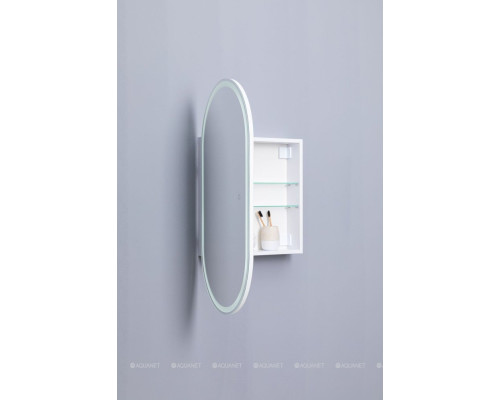 Зеркальный шкаф Aquanet Монте 50 белый, с LED подсветкой