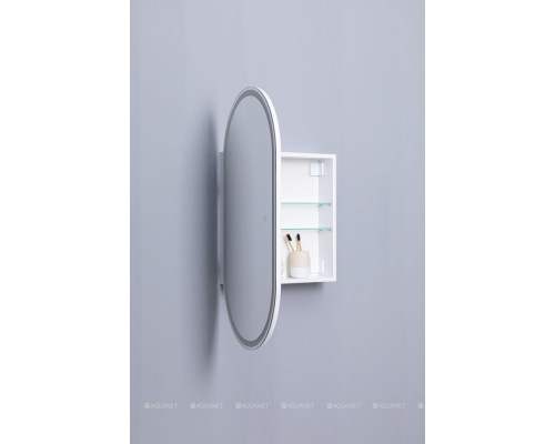 Зеркальный шкаф Aquanet Монте 50 белый, с LED подсветкой
