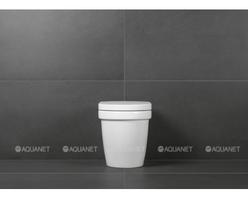 Крышка-сиденье для унитаза Villeroy & Boch Omnia Architectura 98M9 C1 01