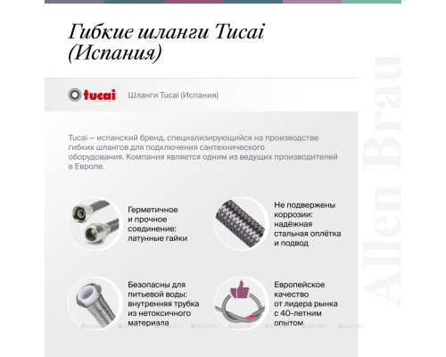 Душевая стойка Allen Brau Priority 5.31T10-MG графит браш