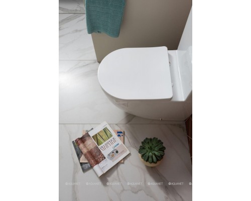 Унитаз-компакт Aquanet Rimless Cetus 2.0 C1 LX-2903