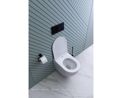 Унитаз подвесной Aquanet Rimless Cetus 2.0 W LX-1901