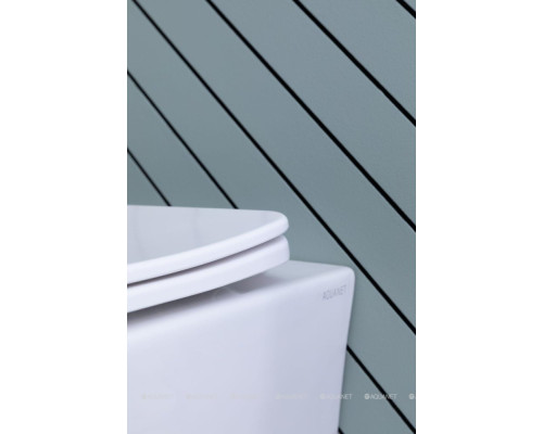 Унитаз подвесной Aquanet Rimless Cetus 2.0 W LX-1901