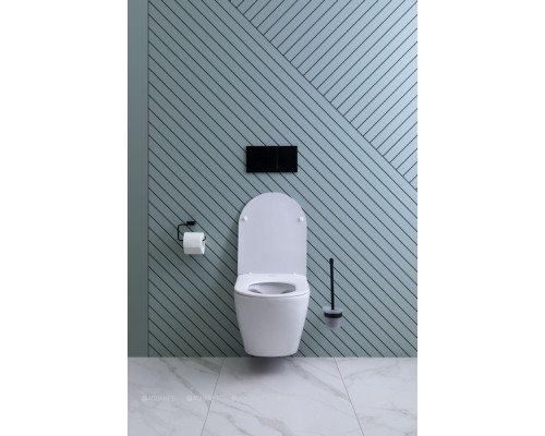 Унитаз подвесной Aquanet Rimless Cetus 2.0 W LX-1901