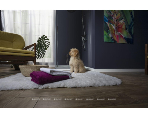 Душевая дверь Aquanet Cinetic AE12-N-90H190U-CT 900, прозрачное стекло