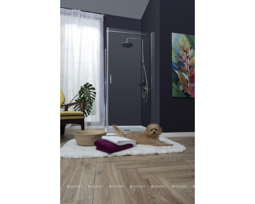 Душевая дверь Aquanet Cinetic AE12-N-90H190U-CT 900, прозрачное стекло