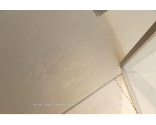 Душевая дверь Allen Brau Priority 120 3.31008.BA серебро браш