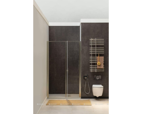 Душевая дверь Allen Brau Priority 120 3.31008.BA серебро браш