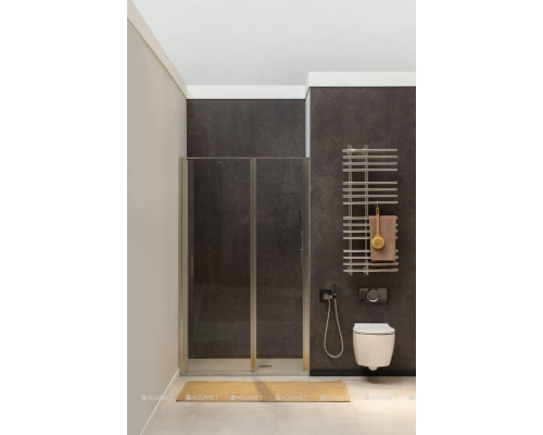 Душевая дверь Allen Brau Priority 120 3.31008.BA серебро браш