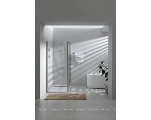 Душевая дверь Allen Brau Priority 140 3.31011.BA серебро браш