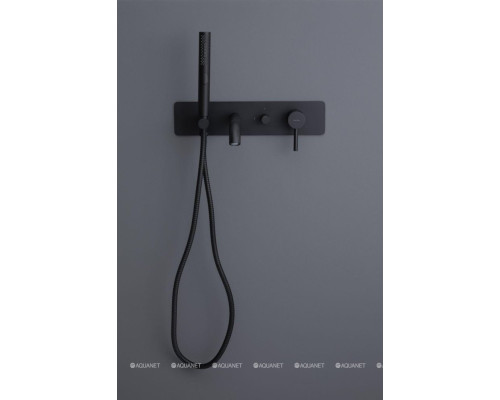 Смеситель для ванны с душем Allen Brau Priority 5.31006-31 (с внутренней частью) черный матовый