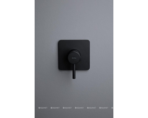 Смеситель для душа Allen Brau Priority X1 5.31012-31 (с внутренней частью, 1 выход) черный матовый