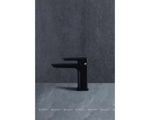 Смеситель для раковины Allen Brau Infinity 5.21001-31 черный матовый