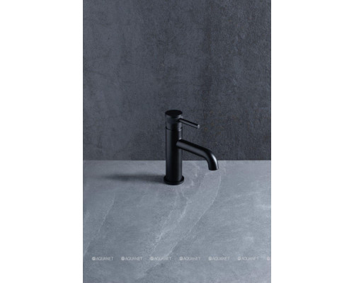 Смеситель для раковины Allen Brau Priority 5.31001-31 черный матовый