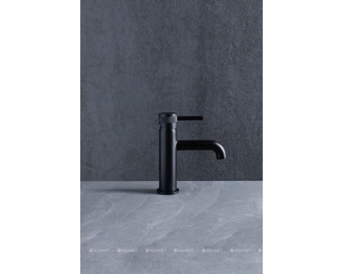 Смеситель для раковины Allen Brau Priority 5.31001-31 черный матовый