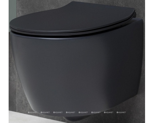 Унитаз подвесной Allen Brau Fantasy 4.11004.31 черный матовый