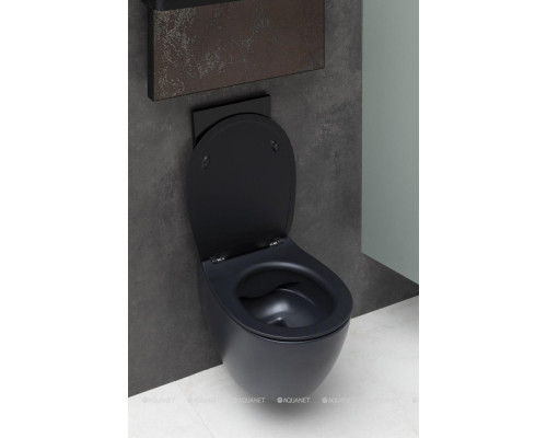 Унитаз подвесной Allen Brau Fantasy 4.11004.31 черный матовый