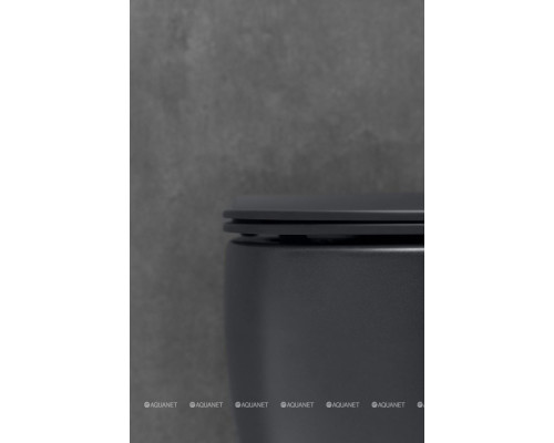 Унитаз подвесной Allen Brau Fantasy 4.11004.31 черный матовый