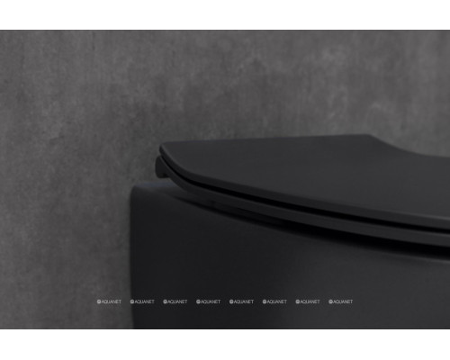 Унитаз подвесной Allen Brau Fantasy 4.11004.31 черный матовый