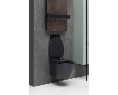 Унитаз подвесной Allen Brau Fantasy 4.11004.31 черный матовый