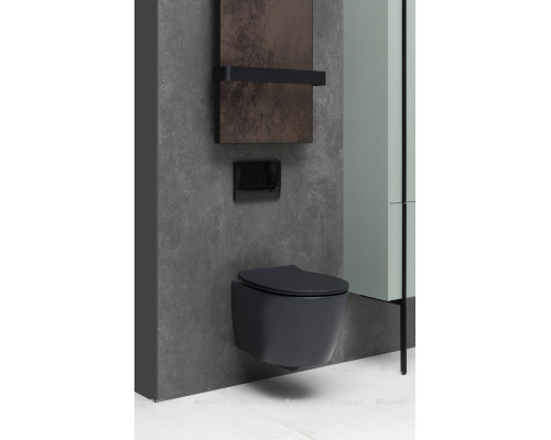 Унитаз подвесной Allen Brau Fantasy 4.11004.31 черный матовый