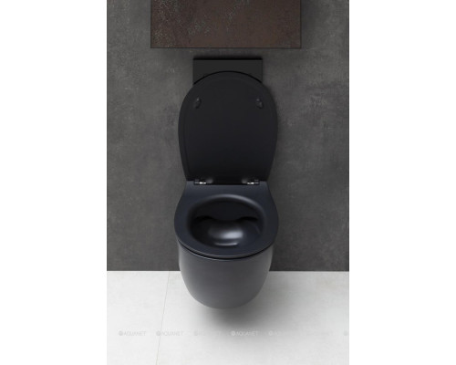 Унитаз подвесной Allen Brau Fantasy 4.11004.31 черный матовый