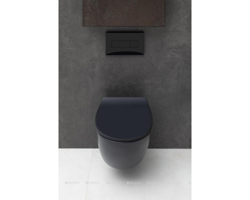 Унитаз подвесной Allen Brau Fantasy 4.11004.31 черный матовый