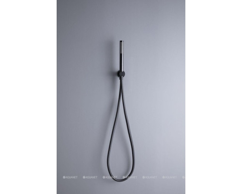 Душевой гарнитур Allen Brau Priority 5.31019-31 черный матовый