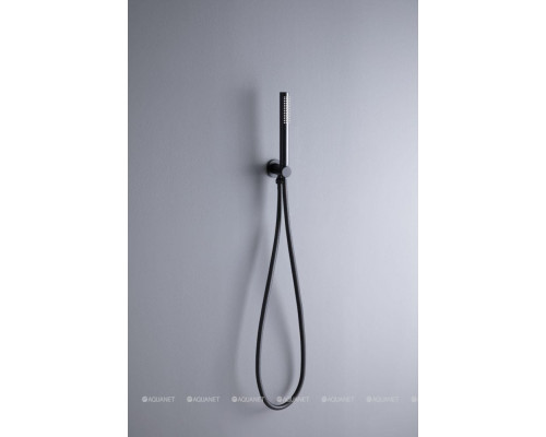 Душевой гарнитур Allen Brau Priority 5.31019-31 черный матовый