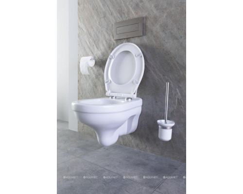 Ершик для унитаза Allen Brau Priority 6.31008-BN белый/никель браш