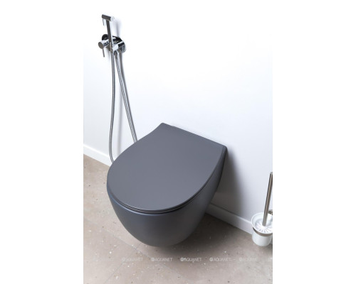 Крышка-сиденье для унитаза Allen Brau Fantasy Smartfix, Soft-Close 4.11005.AN антрацит