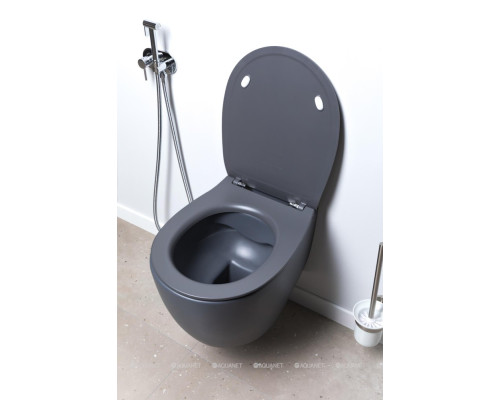 Крышка-сиденье для унитаза Allen Brau Fantasy Smartfix, Soft-Close 4.11005.AN антрацит