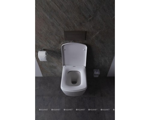 Унитаз подвесной Allen Brau Liberty 4.33004.20 белый