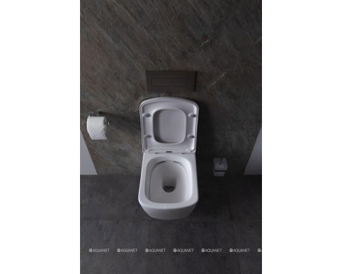 Унитаз подвесной Allen Brau Liberty 4.33004.20 белый