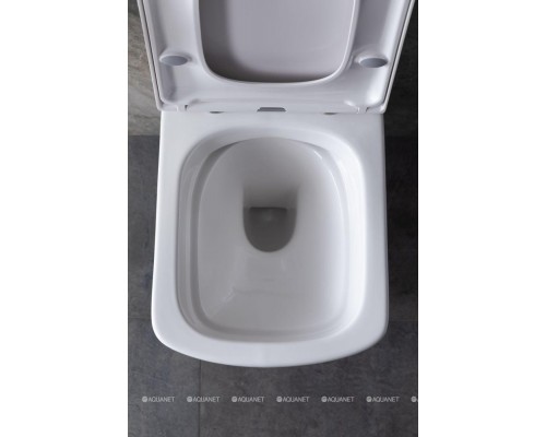 Унитаз подвесной Allen Brau Liberty 4.33004.20 белый