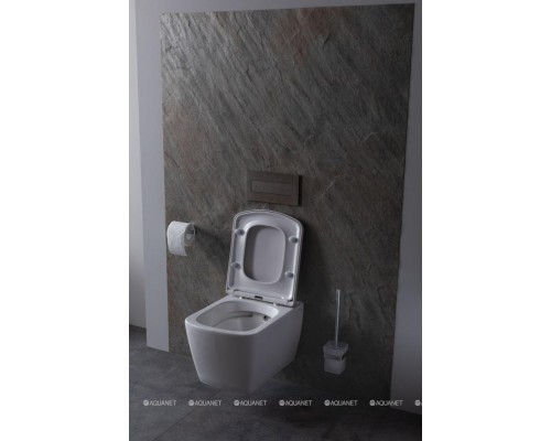 Унитаз подвесной Allen Brau Liberty 4.33004.20 белый