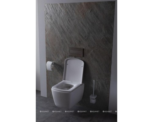 Унитаз подвесной Allen Brau Liberty 4.33004.20 белый