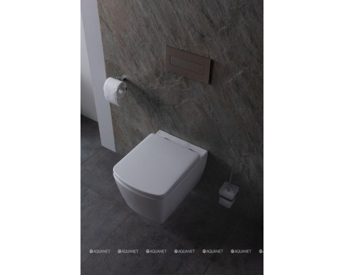 Унитаз подвесной Allen Brau Liberty 4.33004.20 белый