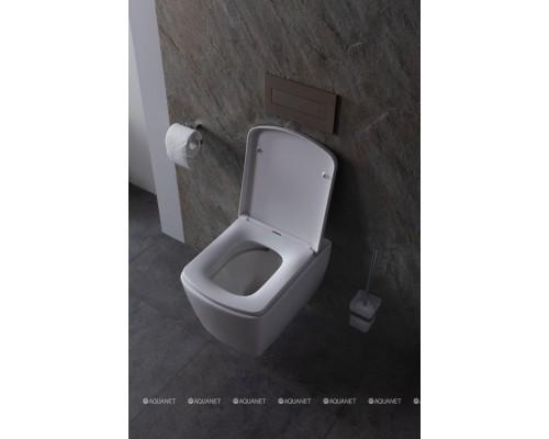 Унитаз подвесной Allen Brau Liberty 4.33004.20 белый