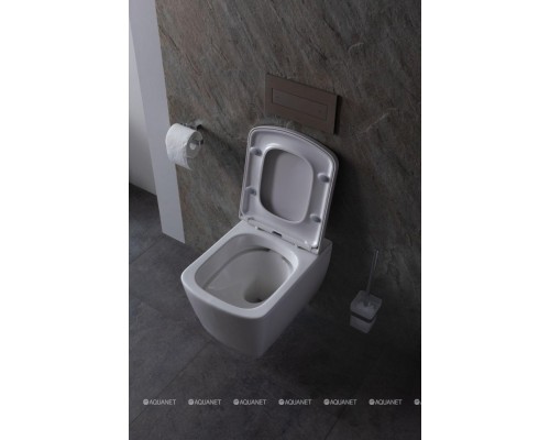 Унитаз подвесной Allen Brau Liberty 4.33004.20 белый