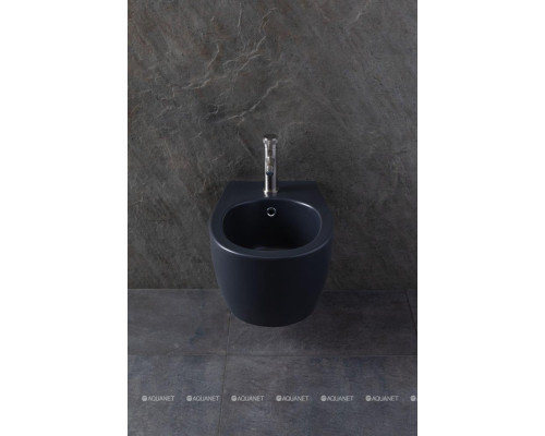 Биде подвесное Allen Brau Fantasy 4.11006.AN антрацит