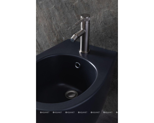 Биде подвесное Allen Brau Fantasy 4.11006.AN антрацит