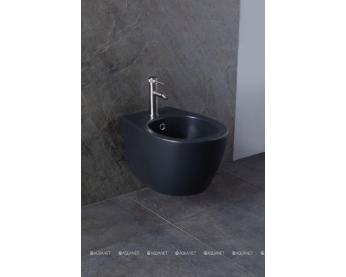 Биде подвесное Allen Brau Fantasy 4.11006.AN антрацит