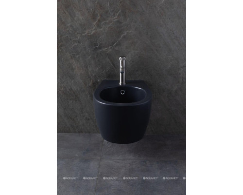 Биде подвесное Allen Brau Fantasy 4.11006.AN антрацит