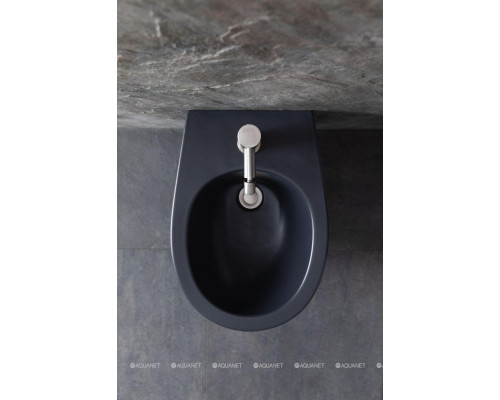 Биде подвесное Allen Brau Fantasy 4.11006.AN антрацит