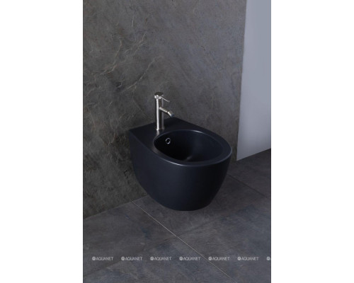 Биде подвесное Allen Brau Fantasy 4.11006.31 черный матовый