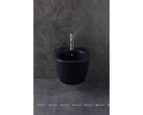 Биде подвесное Allen Brau Fantasy 4.11006.31 черный матовый