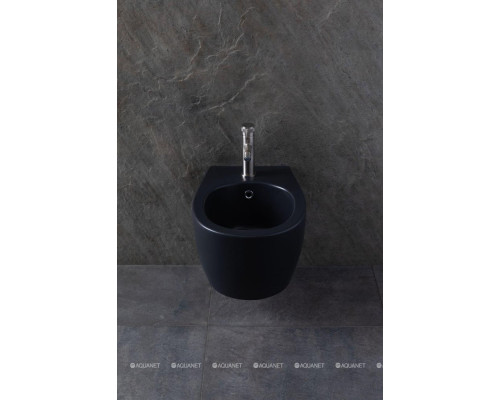 Биде подвесное Allen Brau Fantasy 4.11006.31 черный матовый