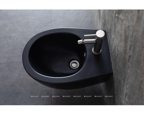 Биде подвесное Allen Brau Fantasy 4.11006.31 черный матовый