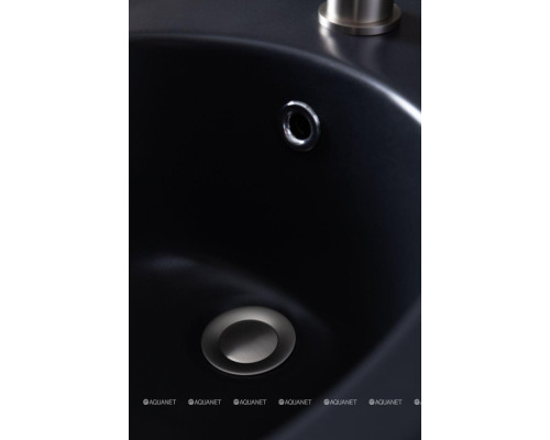 Биде подвесное Allen Brau Fantasy 4.11006.31 черный матовый